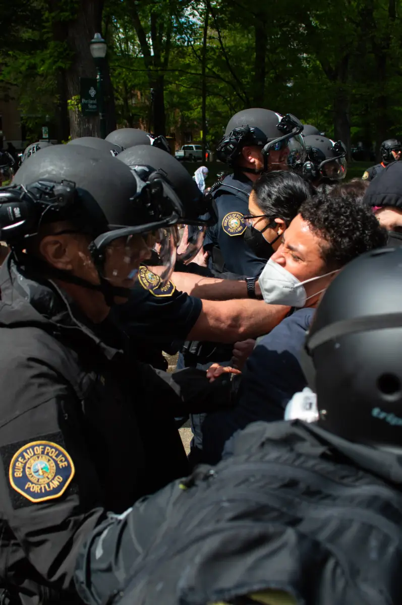 A photo of a protester clasing with police in a park